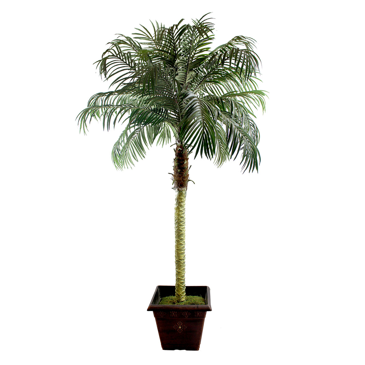 7' Palm Tree